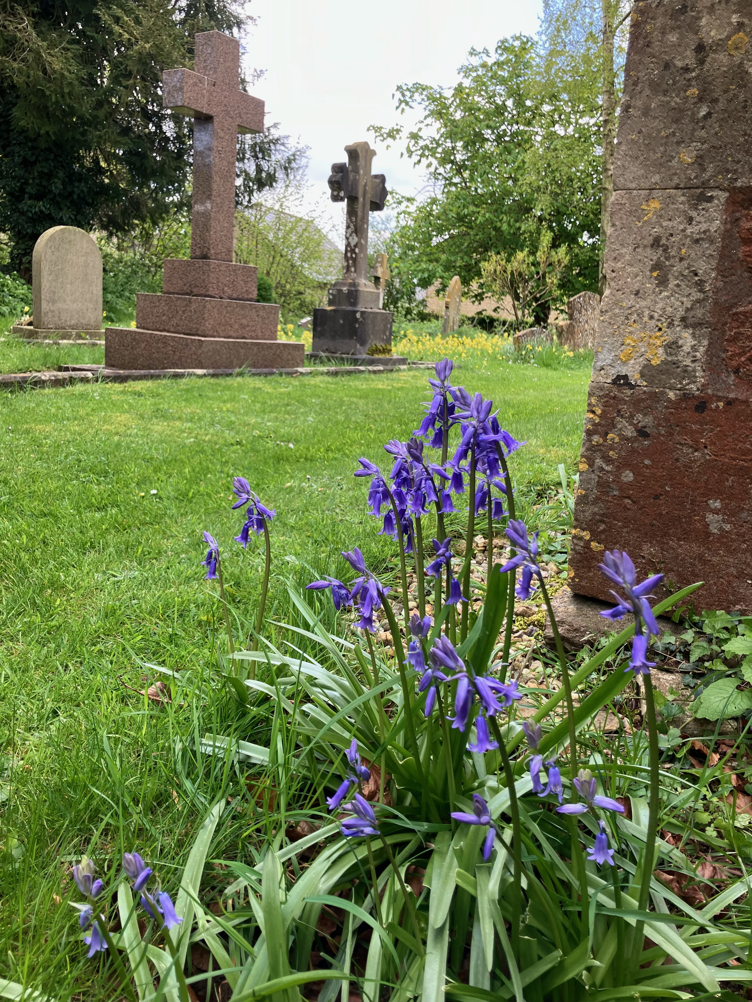 Whitfield Churchyard